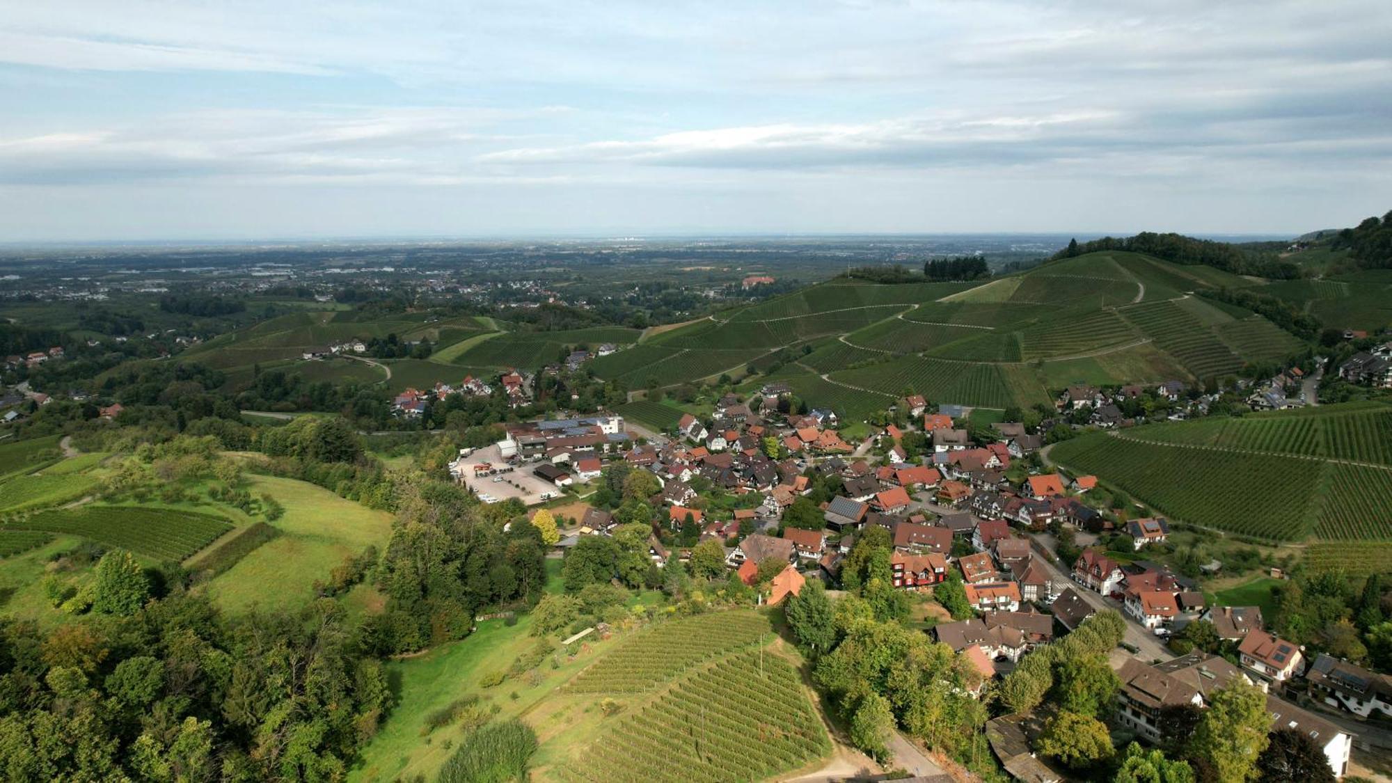 Renatas Ferienwohnung Wohnung David Sasbachwalden Buitenkant foto